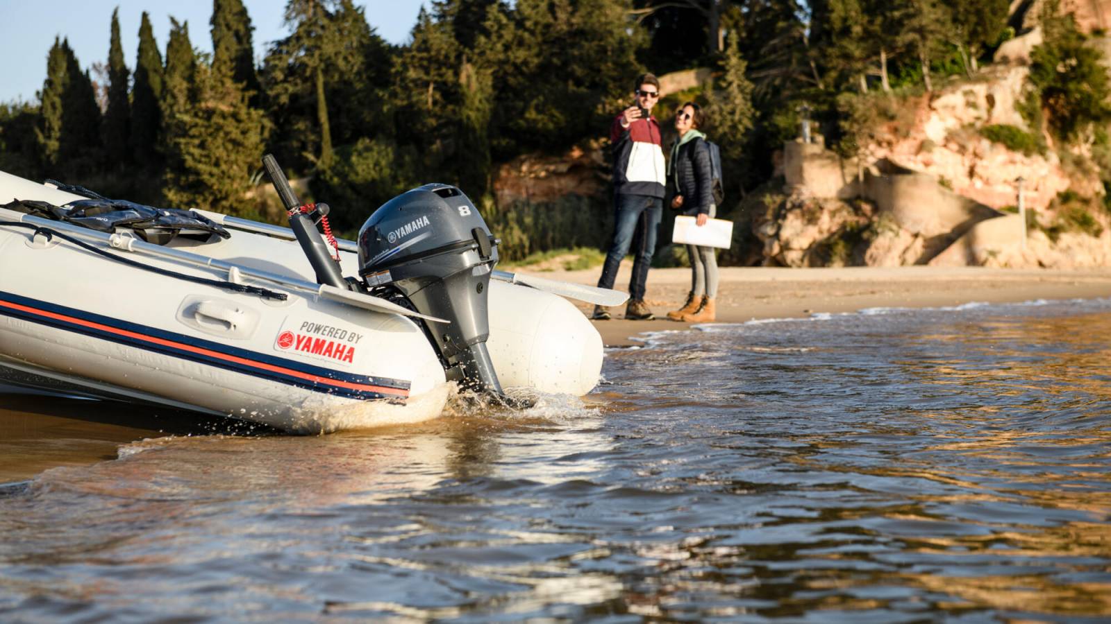 MOTEUR DE BATEAU HORD BORD YAMAHA MARINE NEUF 8 CV arbre long OU court (F8FMHS & FMHL) SUR MARSEILLE LES ARNAVAUX