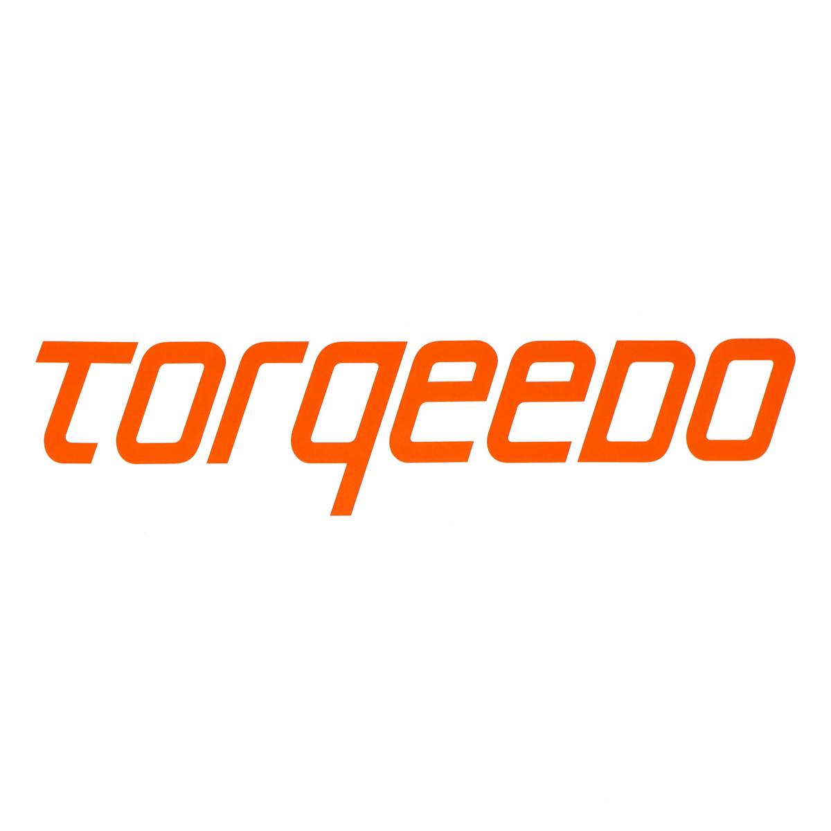 Protecmer devient revendeur officiel Torqeedo – Cap sur l’électrique !