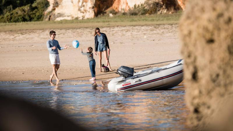 MOTEUR YAMAHA F5AMH S/L 5 CV À MARSEILLE LES ARNAVAUX