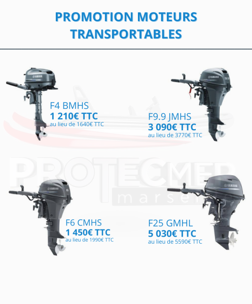 PROMOTION : MOTEURS TRANSPORTABLES