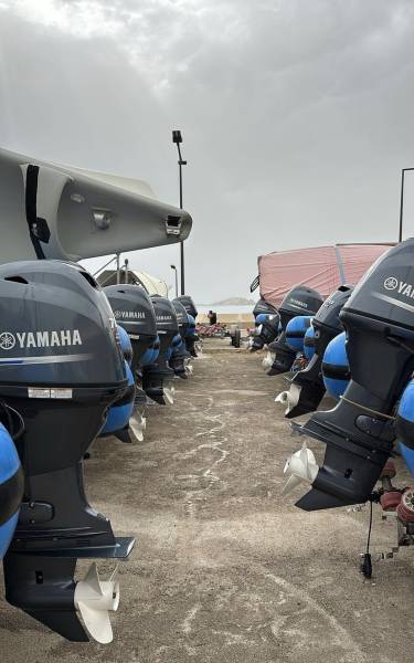 NOTRE PARTICIPATION AUX JEUX OLYMPIQUES AVEC LA FFV