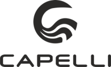 Distributeur de bateaux pneumatiques et semi rigides Capelli Marseille 27 bd Gay Lussac 13014 Marseille Protecmer Protecmer